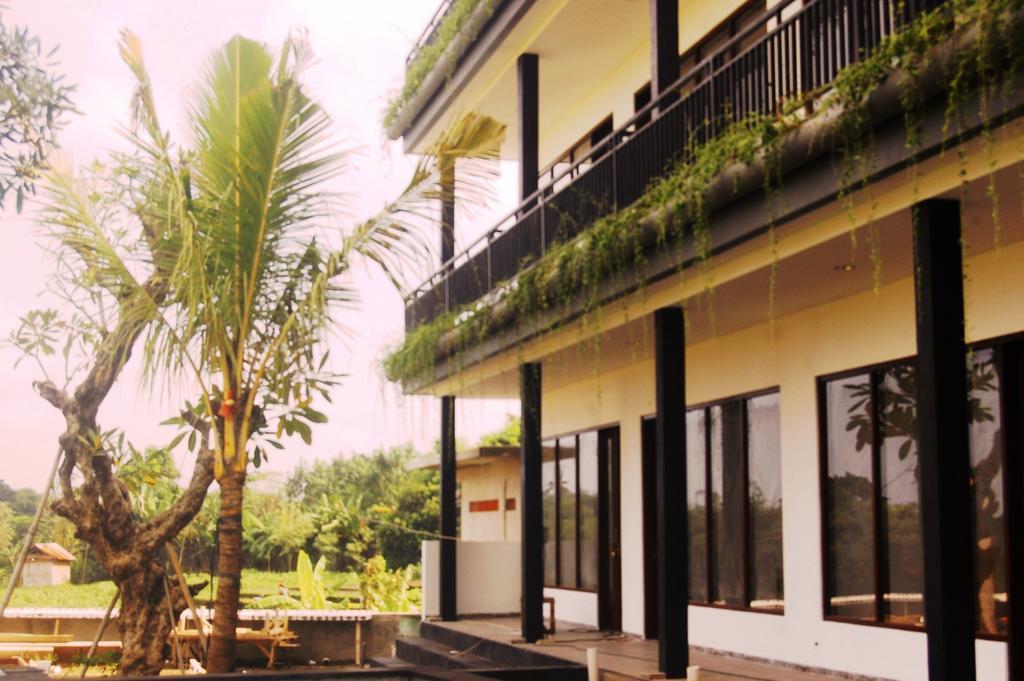 Grandpa Guest House تْشانغو المظهر الخارجي الصورة