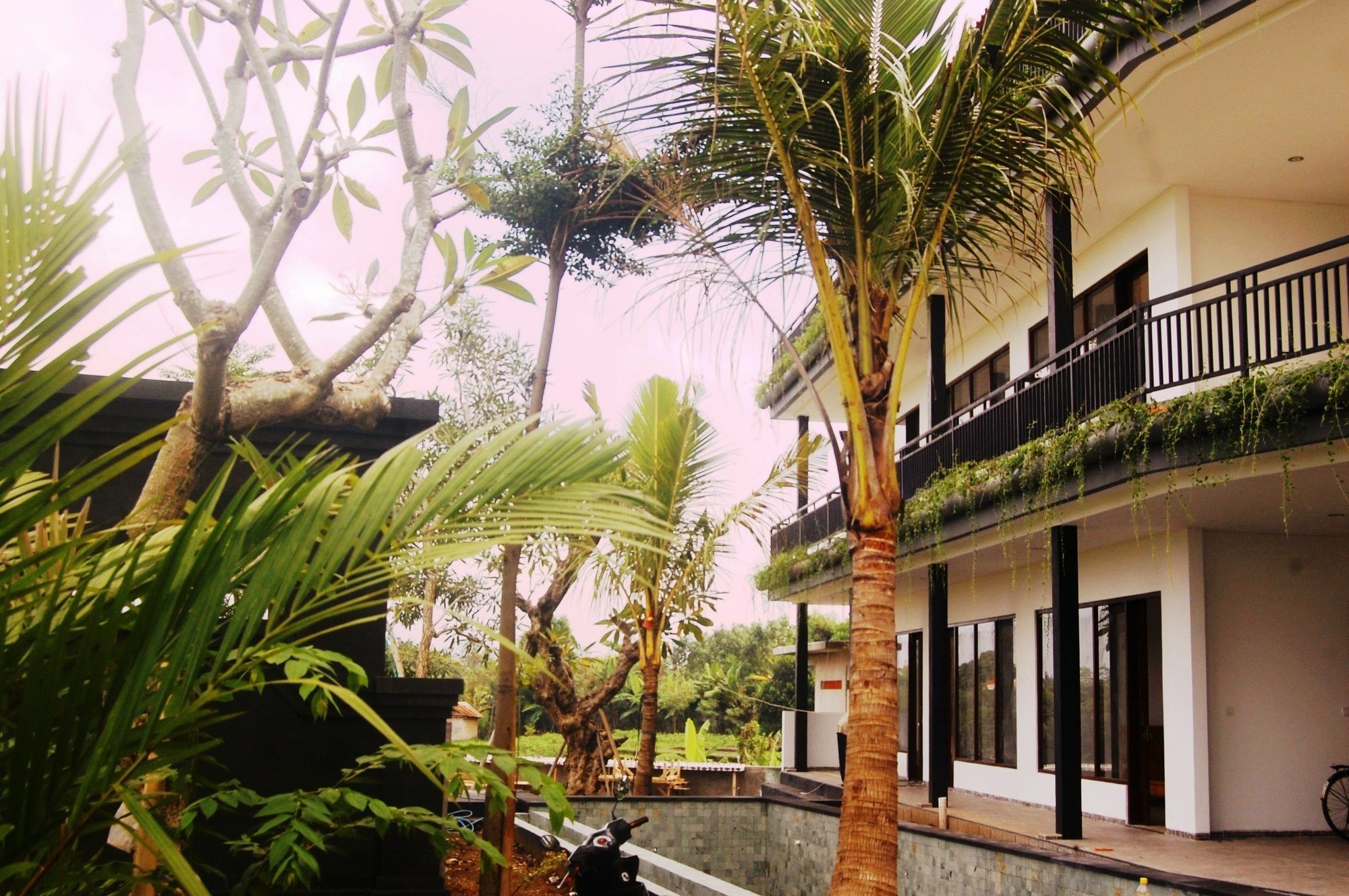 Grandpa Guest House تْشانغو المظهر الخارجي الصورة